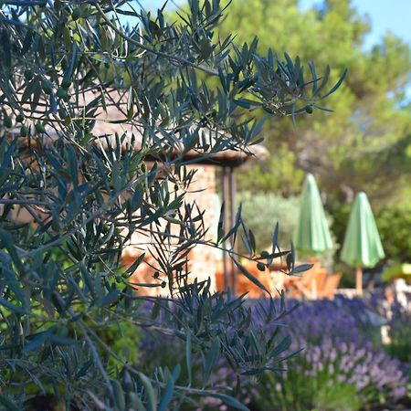 Le Jas De Joucas Hotel-Restaurant Bagian luar foto
