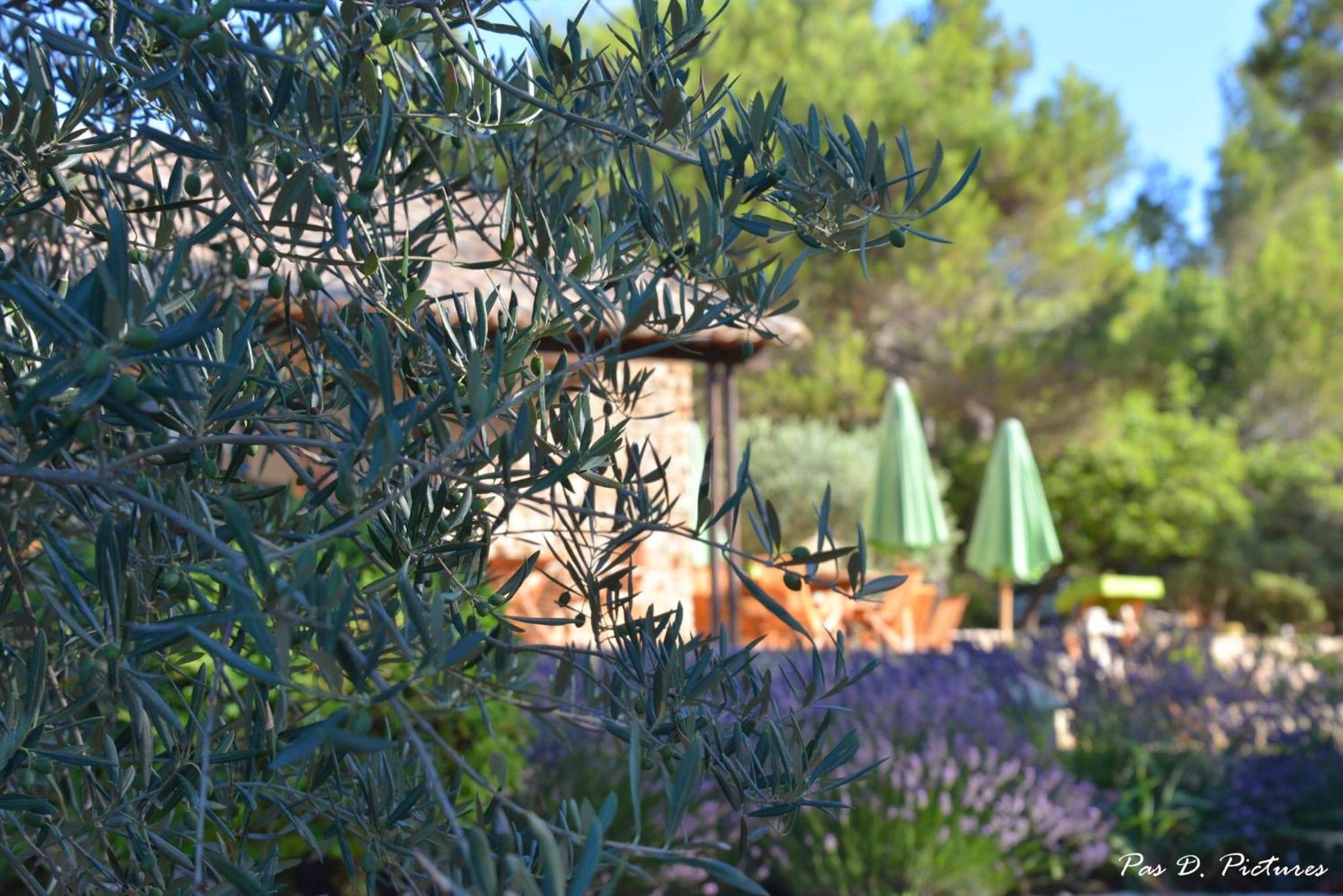 Le Jas De Joucas Hotel-Restaurant Bagian luar foto